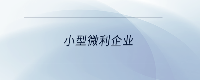 小型微利企業(yè)