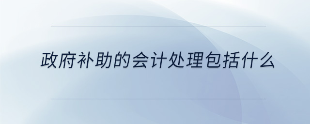 政府補助的會計處理包括什么