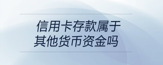 信用卡存款屬于其他貨幣資金嗎