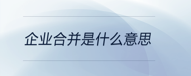 企業(yè)合并是什么意思