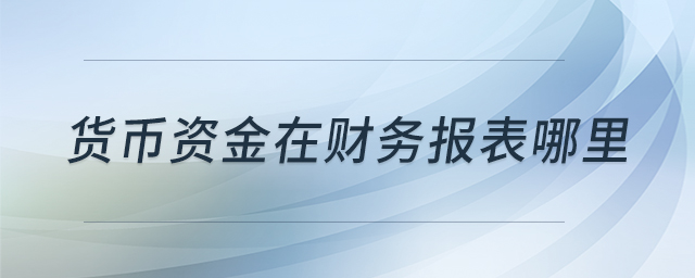 貨幣資金在財(cái)務(wù)報(bào)表哪里