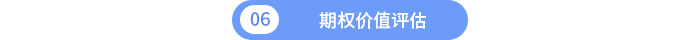 期權(quán)價(jià)值評(píng)估