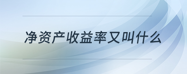 凈資產(chǎn)收益率又叫什么