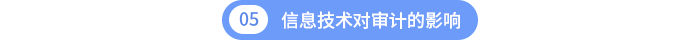 第五章信息技術對審計的影響