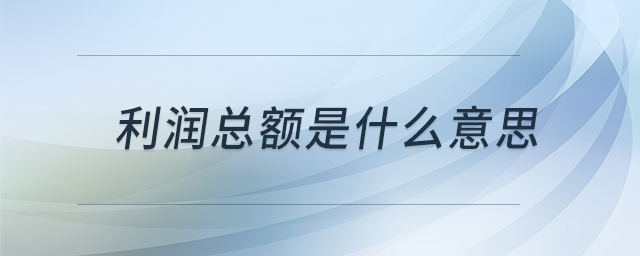 利潤總額是什么意思
