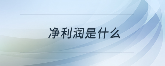 凈利潤是什么