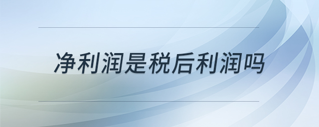 凈利潤是稅后利潤嗎