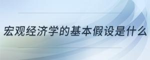 宏觀經(jīng)濟(jì)學(xué)的基本假設(shè)是什么