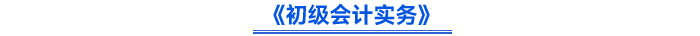 《初級(jí)會(huì)計(jì)實(shí)務(wù)》