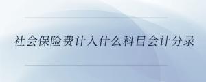 社會保險費(fèi)計(jì)入什么科目會計(jì)分錄
