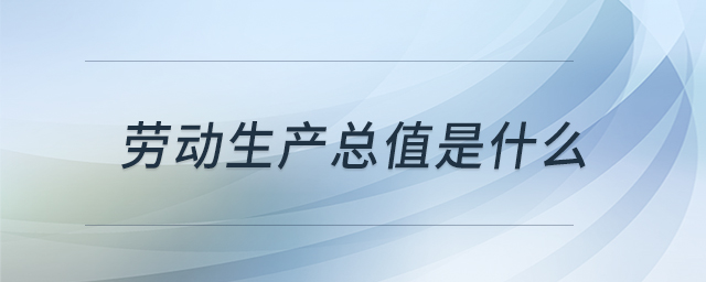 勞動(dòng)生產(chǎn)總值是什么