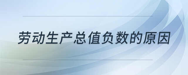 勞動(dòng)生產(chǎn)總值負(fù)數(shù)的原因