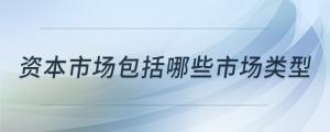 資本市場包括哪些市場類型