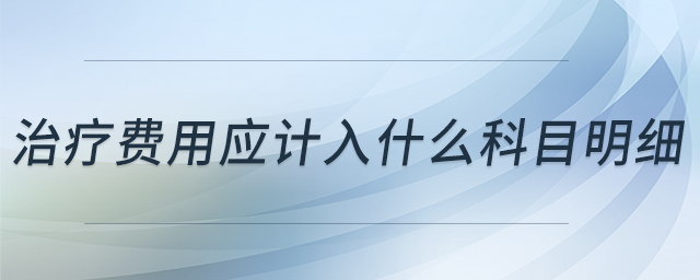 治療費(fèi)用應(yīng)計(jì)入什么科目明細(xì)