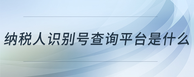 納稅人識(shí)別號(hào)查詢平臺(tái)是什么