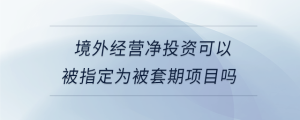 境外經營凈投資可以被指定為被套期項目嗎