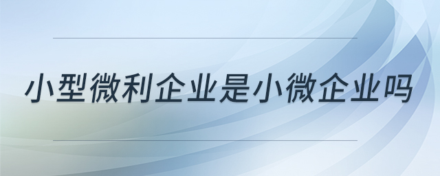 小型微利企業(yè)是小微企業(yè)嗎