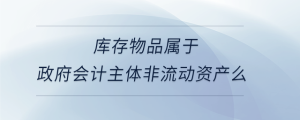 庫存物品屬于政府會計(jì)主體非流動資產(chǎn)么