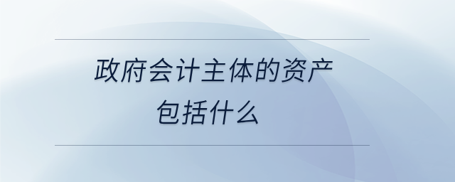 政府會(huì)計(jì)主體的資產(chǎn)包括什么