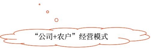 示意圖