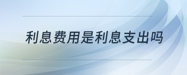 利息費(fèi)用是利息支出嗎
