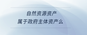 自然資源資產(chǎn)屬于政府主體資產(chǎn)么