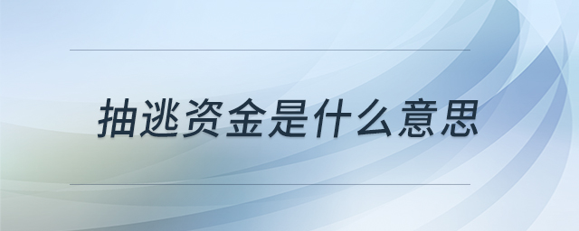 抽逃資金是什么意思