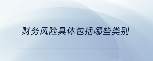 財務(wù)風險具體包括哪些類別