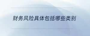 財務(wù)風險具體包括哪些類別