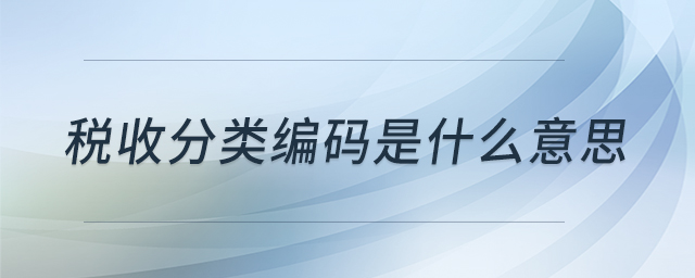 稅收分類編碼是什么意思