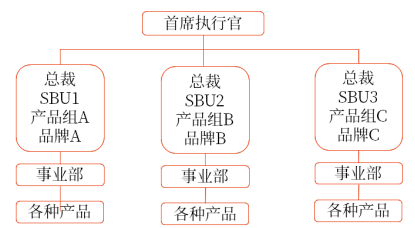 戰(zhàn)略業(yè)務單位組織結構（SBU）