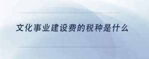 文化事業(yè)建設(shè)費(fèi)的稅種是什么
