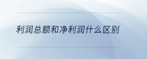 利潤總額和凈利潤什么區(qū)別