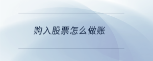 購入股票怎么做賬