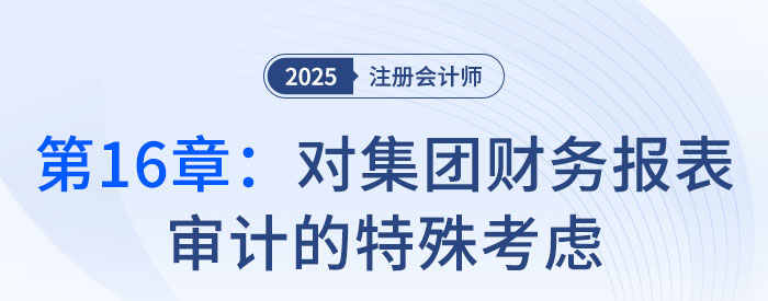第十六章對(duì)集團(tuán)財(cái)務(wù)報(bào)表審計(jì)的特殊考慮_2025年注會(huì)審計(jì)習(xí)題隨章演練