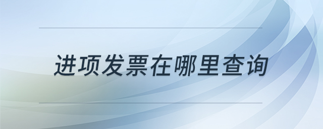 進(jìn)項(xiàng)發(fā)票在哪里查詢