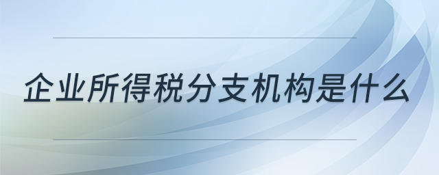 企業(yè)所得稅分支機(jī)構(gòu)是什么