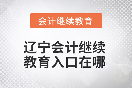 2025年遼寧會(huì)計(jì)人員繼續(xù)教育入口在哪,？