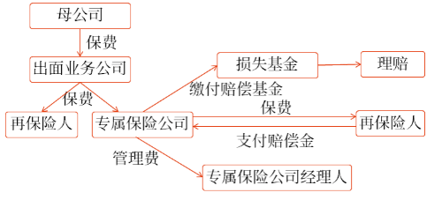 純專業(yè)自保公司的結(jié)構(gòu)