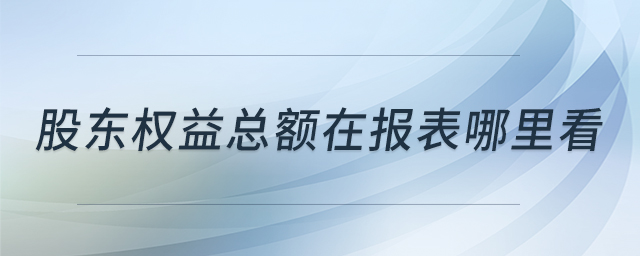 股東權(quán)益總額在報表哪里看