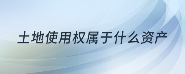 土地使用權屬于什么資產(chǎn)
