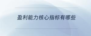 盈利能力核心指標(biāo)有哪些